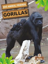 bokomslag Gorillas