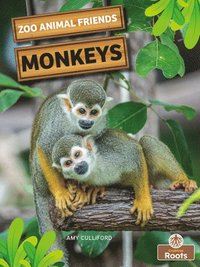 bokomslag Monkeys