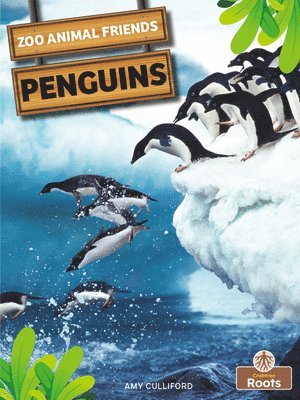 bokomslag Penguins