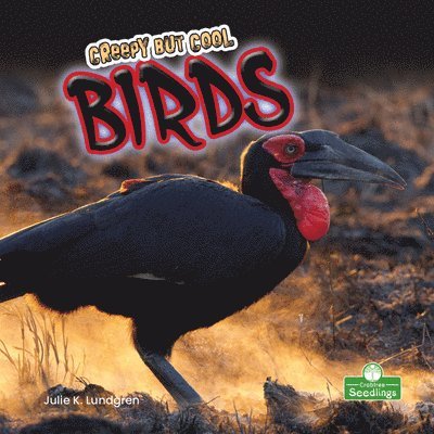 Creepy But Cool Birds 1