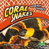 bokomslag Coral Snakes