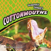 bokomslag Cottonmouths