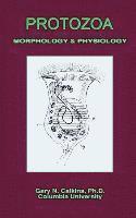 bokomslag Protozoa Morphology & Physiology (Microbiology Series)