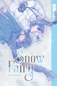 bokomslag Snow Fairy