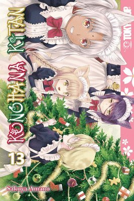 bokomslag Konohana Kitan, Volume 13