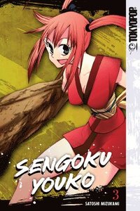 bokomslag Sengoku Youko, Volume 3
