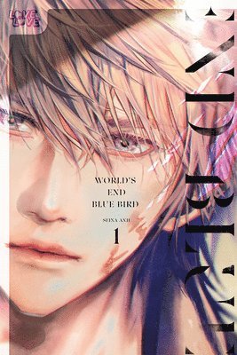 bokomslag World's End Blue Bird, Volume 1