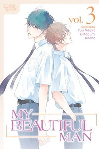 bokomslag My Beautiful Man, Volume 3 (Manga)