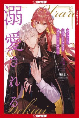 bokomslag Margrave's Daughter & the Enemy Prince, Volume 4