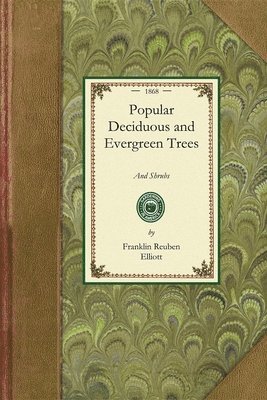 Popular Deciduous and Evergreen Trees 1