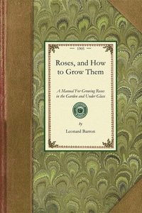 bokomslag Roses, and How to Grow Them