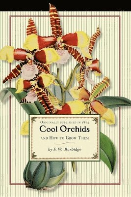bokomslag Cool Orchids