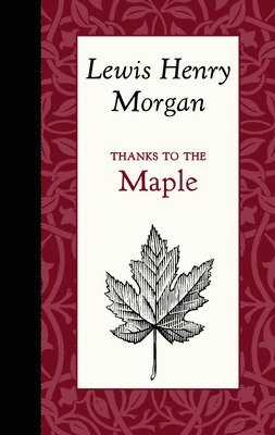 Lewis Morgan - Thanks to the Maple, Inbunden