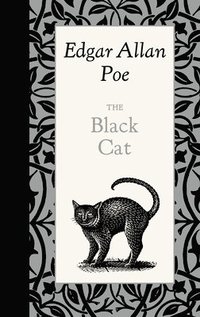 bokomslag The Black Cat