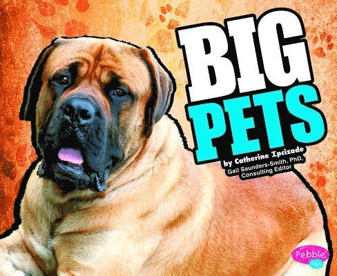 Catherine Ipcizade - Big Pets, Inbunden. Tillgänglighet: Lägg i varukorg