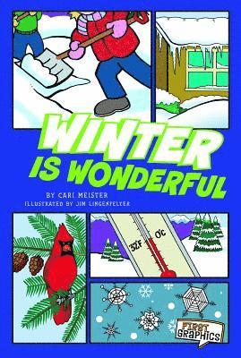 Cari Meister - Winter Is Wonderful, Inbunden