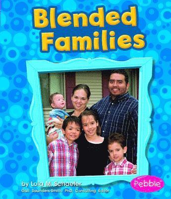 Sarah L. Schuette - Blended Families, Häftad