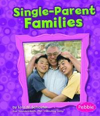 bokomslag Single-Parent Families