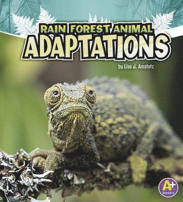 Lisa J. Amstutz - Rain Forest Animal Adaptations, Inbunden