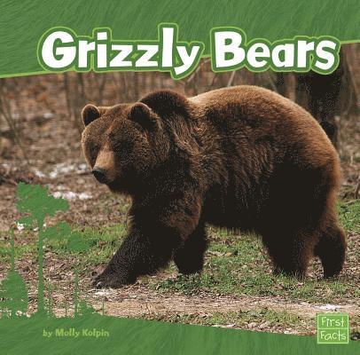 Grizzly Bears 1