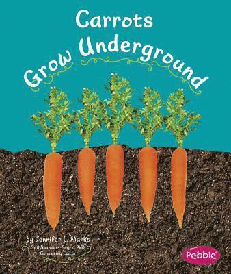 Mari Schuh - Carrots Grow Underground, Häftad