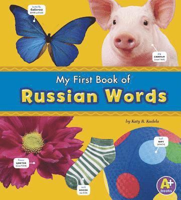 bokomslag Bilingual Picture Dictionaries My First Book of Russian Words