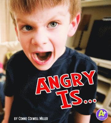 Know Your Emotions Angry is ...