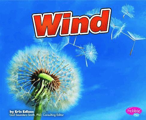 Wind 1