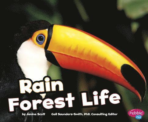 Janine Scott - Rain Forest Life, Häftad