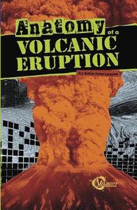 bokomslag Anatomy of a Volcanic Eruption