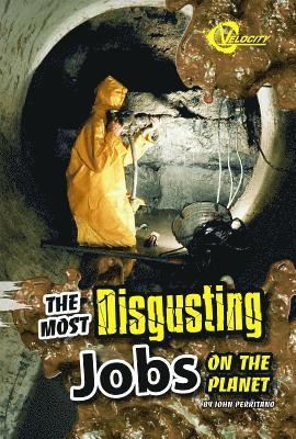 John Perritano - The Most Disgusting Jobs on the Planet, Inbunden