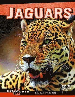 bokomslag Jaguars