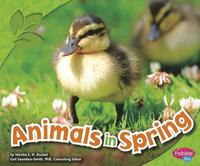 bokomslag Animals in Spring