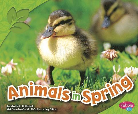 Animals in Spring 1