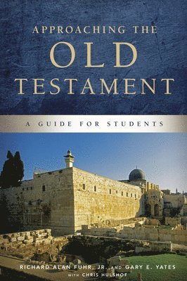 bokomslag Approaching the Old Testament