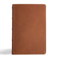 bokomslag CSB Men's Daily Bible, Brown Genuine Leather
