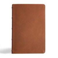 bokomslag CSB Men's Daily Bible, Brown Genuine Leather, Indexed