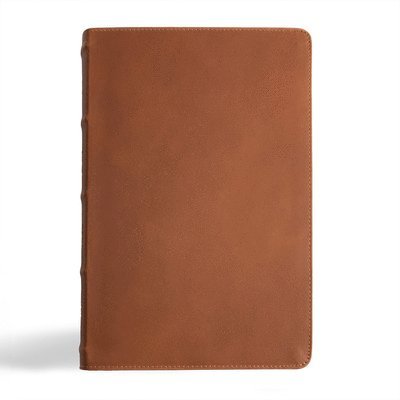 CSB Men's Daily Bible, Brown Genuine Leather, Indexed 1