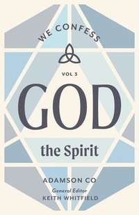 bokomslag God the Spirit