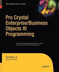bokomslag Pro Crystal Enterprise / BusinessObjects XI Programming