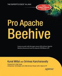 bokomslag Pro Apache Beehive