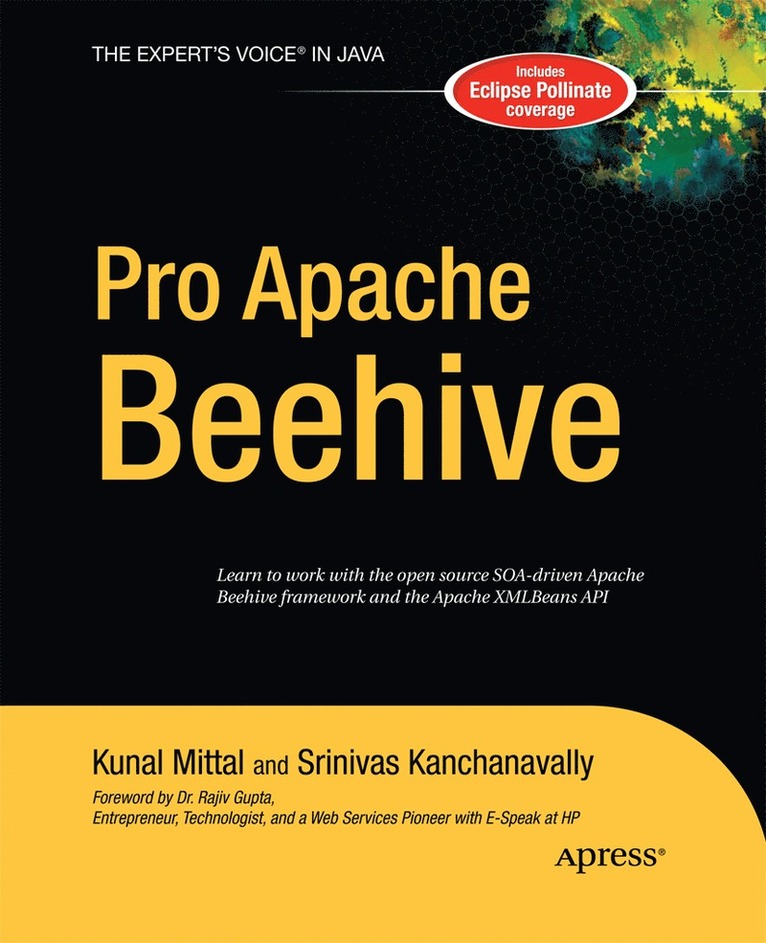Srinivas Kanchanavally, Kunal Mittal - Pro Apache Beehive, Häftad