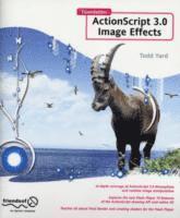 Gerald YardFace, Gerald Yardface - Foundation ActionScript 3.0 Image Effects, Häftad