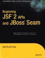 bokomslag Beginning JSF 2 APIs and JBoss Seam