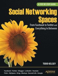bokomslag Social Networking Spaces: From Facebook to Twitter and Everything In Between