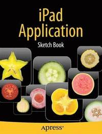 bokomslag iPad Application Sketch Book