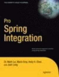 bokomslag Pro Spring Integration