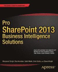 bokomslag Pro SharePoint 2013 Business Intelligence Solutions