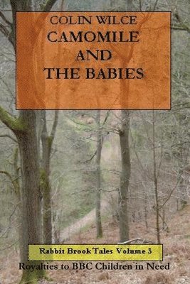 Camomile and the Babies (Rabbit Brook Tales Volume 3) 1