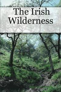 bokomslag Irish Wilderness
